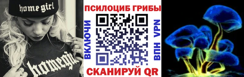 купить наркотики сайты  Арзамас  Псилоцибиновые грибы Psilocybe 