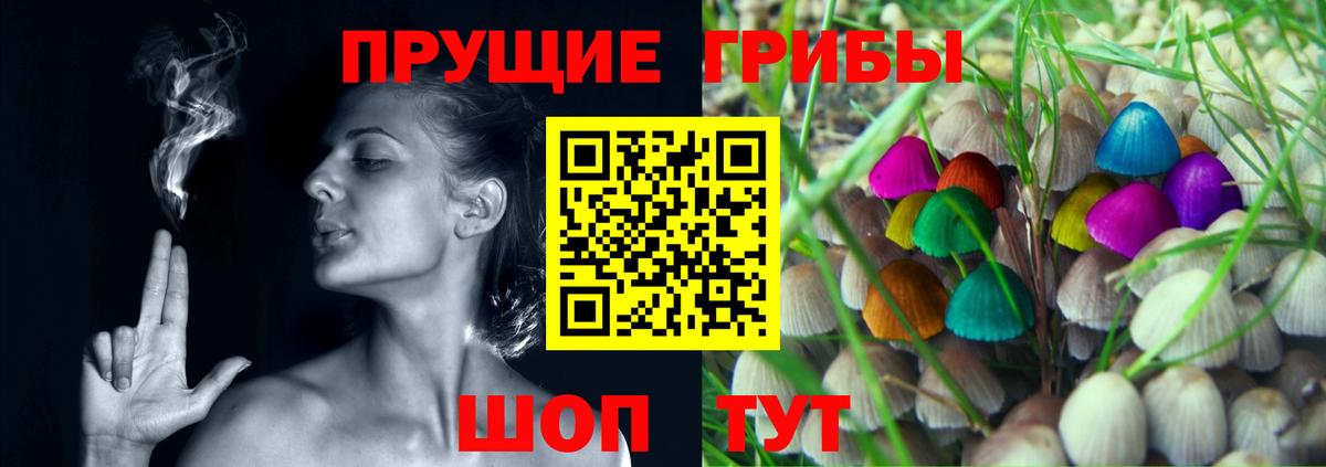 Арзамас  Галлюциногенные грибы MAGIC MUSHROOMS  Вход с VPN 