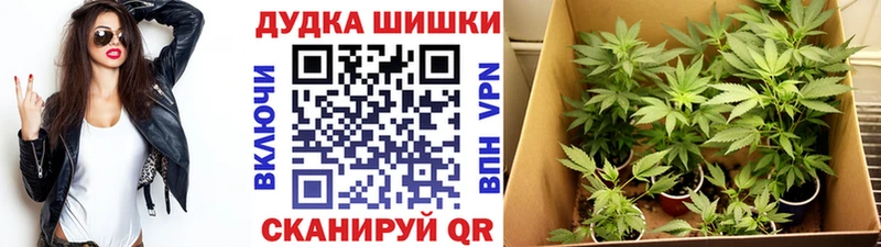 Канабис Ganja  hydra ONION  Арзамас  купить  цена 